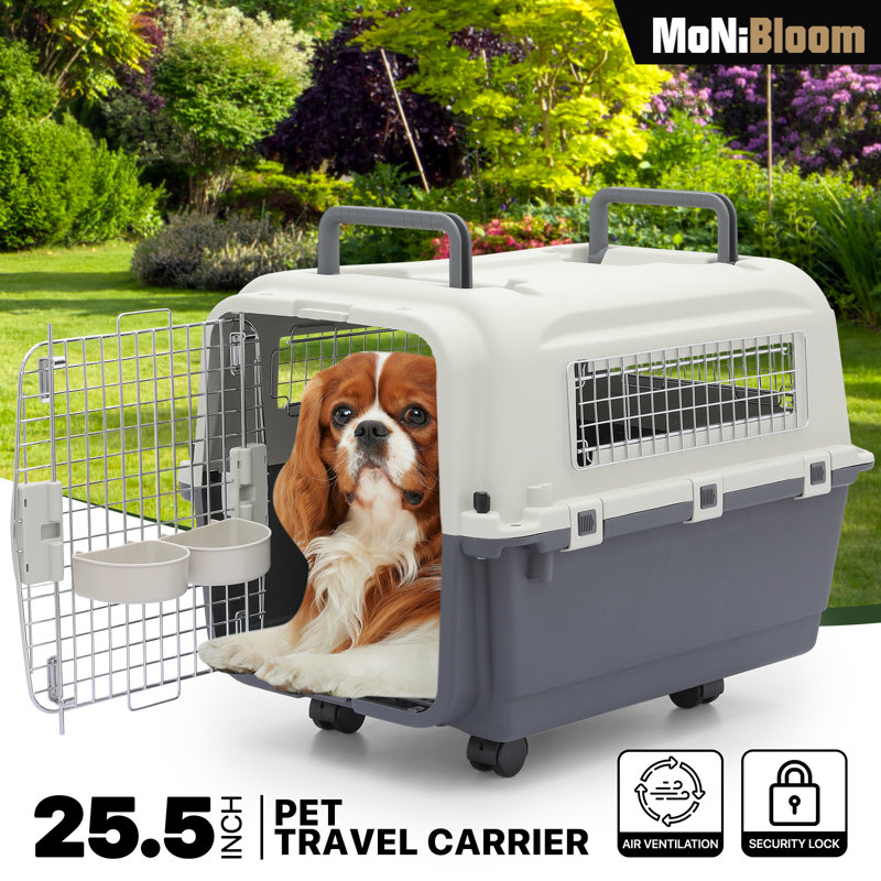 Dog travel carrier best sale